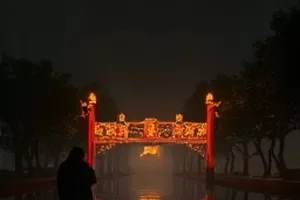 向阳坡面桃树透光俯拍，果实着色均匀饱满