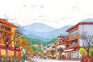 采摘筐分层码放，不同成熟度果实挂着分区标牌